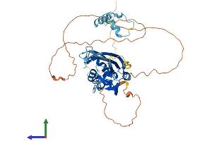 AlphaFold protein structure predicition of Mouse Recombinant Kctd16 Protein, UniprotID Q5DTY9