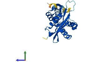 AlphaFold protein structure predicition of Human Recombinant NAT8B Protein, UniprotID Q9UHF3 (NAT8B Protein (AA 1-227) (His tag))