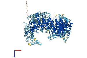 AlphaFold protein structure predicition of Human Recombinant RANBP17 Protein, UniprotID Q9H2T7 (RANBP17 Protein (AA 1-1088) (His tag))