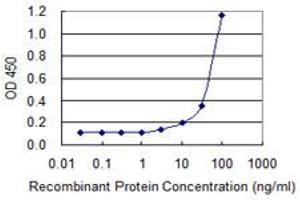Detection limit for recombinant GST tagged MYBL1 is 1 ng/ml as a capture antibody. (MYBL1 antibody  (AA 625-734))