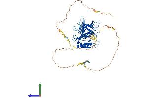 Protein Structure (PS) image for Pleckstrin Homology Domain Containing, Family A (phosphoinositide Binding Specific) Member 1 (PLEKHA1) (AA 1-383) protein (His tag) (ABIN7558901)