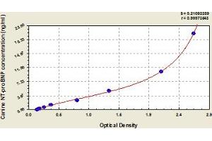 Typical Standard Curve (NT-ProBNP ELISA Kit)