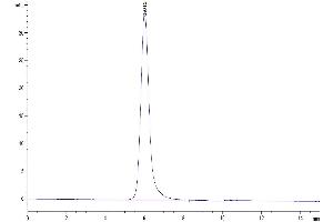 Size-exclusion chromatography-High Pressure Liquid Chromatography (SEC-HPLC) image for CD24 Molecule (CD24) (AA 27-59) protein (mFc Tag) (ABIN7274115)