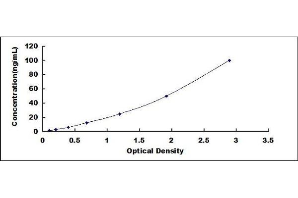 PROCR ELISA Kit