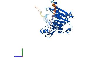 AlphaFold protein structure predicition of Human Recombinant ENDOV Protein, UniprotID Q8N8Q3 (Endonuclease V Protein (ENDOV) (AA 1-282) (His tag))