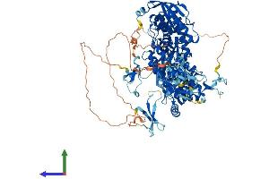 AlphaFold protein structure predicition of Mouse Recombinant Top3a Protein, UniprotID O70157 (TOP3A Protein (AA 1-1003) (His tag))