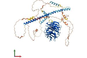 AlphaFold protein structure predicition of Mouse Recombinant Strn3 Protein, UniprotID Q9ERG2