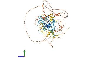 AlphaFold protein structure predicition of Human Recombinant PRDM6 Protein, UniprotID Q9NQX0 (PRDM6 Protein (AA 1-595) (His tag))