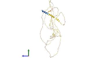 AlphaFold protein structure predicition of Human Recombinant GPATCH2L Protein, UniprotID Q9NWQ4 (GPATCH2L Protein (AA 1-482) (His tag))