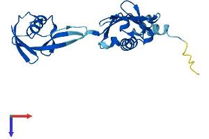 AlphaFold protein structure predicition of Mouse Recombinant Ankub1 Protein, UniprotID Q3UUE9