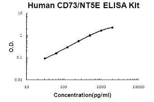 Human CD73 PicoKine ELISA Kit standard curve (CD73 ELISA Kit)