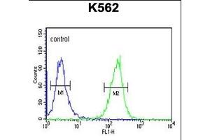 SE6L2 Antibody (C-term) (ABIN651130 and ABIN2840088) flow cytometric analysis of K562 cells (right histogram) compared to a negative control cell (left histogram). (SEZ6L2 antibody  (C-Term))