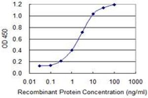 Detection limit for recombinant GST tagged TCF7 is 0. (TCF7 antibody  (AA 287-384))