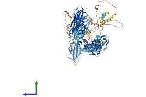 AlphaFold protein structure predicition of Human Recombinant MYBPC3 Protein, UniprotID Q14896