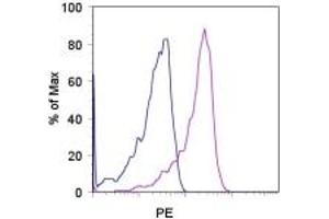 Image no. 1 for anti-CD300e Molecule (CD300E) antibody (ABIN475341) (CD300E antibody)