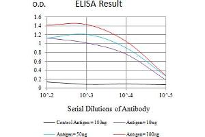 Black line: Control Antigen (100 ng),Purple line: Antigen (10 ng), Blue line: Antigen (50 ng), Red line:Antigen (100 ng) (VISTA antibody  (AA 33-194))
