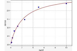 Fatty Acid Binding Protein 6, Ileal (FABP6) ELISA Kit