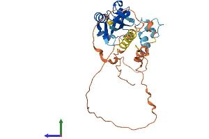 AlphaFold protein structure predicition of Mouse Recombinant Isg20 Protein, UniprotID Q9JL16 (ISG20 Protein (AA 1-300) (His tag))