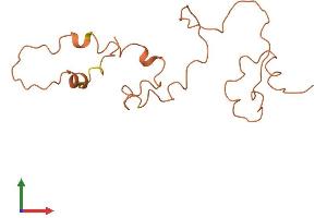 AlphaFold protein structure predicition of Human Recombinant KRTAP9-8 Protein, UniprotID Q9BYQ0 (Keratin Associated Protein 9-8 (KRTAP9-8) (AA 1-159) protein (His tag))