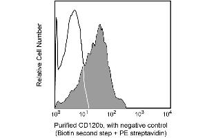 Expression of cell surface p75 TNFR by BALB/c lymph node T cells.