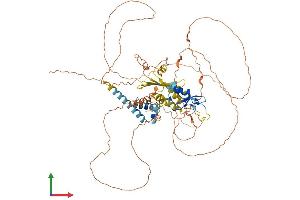 AlphaFold protein structure predicition of Human Recombinant RNF6 Protein, UniprotID Q9Y252 (RNF6 Protein (AA 1-685) (His tag))