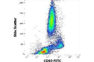 Flow cytometry surface staining pattern of human peripheral whole blood stained using anti-human CD93 (VIMD2) FITC antibody (4 μL reagent / 100 μL of peripheral whole blood). (CD93 antibody  (FITC))