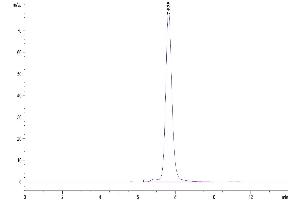 The purity of Human NKG2A&CD94 is greater than 95 % as determined by SEC-HPLC. (NKG2A & CD94 (AA 100-219) protein (Fc-DYKDDDDK Tag))