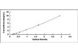 Typical standard curve (CRBN ELISA Kit)