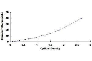 Typical standard curve (Transglutaminase 2 ELISA Kit)