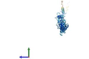 Protein Structure (PS) image for LIM and Senescent Cell Antigen-Like Domains 2 (LIMS2) (AA 1-341) protein (His tag) (ABIN7549088)