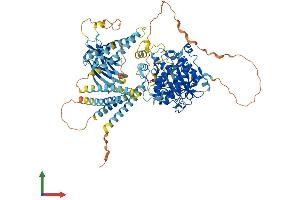 AlphaFold protein structure predicition of Mouse Recombinant Pkn3 Protein, UniprotID Q8K045 (PKN3 Protein (AA 1-878) (His tag))