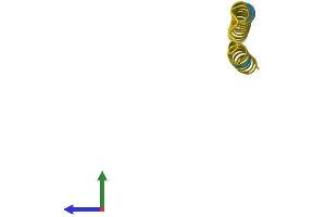 AlphaFold protein structure predicition of Human Recombinant FAM25C Protein, UniprotID B3EWG5 (FAM25C Protein (AA 1-89) (Fc Tag))