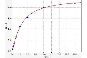 PDIA2 ELISA Kit