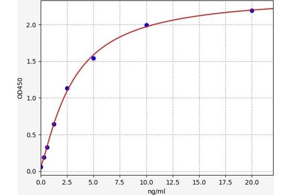 PDIA2 ELISA Kit