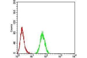 Flow cytometric analysis of HeLa cells using PMS2 mouse mAb (green) and negative control (red). (PMS2 antibody  (AA 748-851))