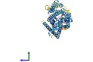 AlphaFold protein structure predicition of Mouse Recombinant Slc38a8 Protein, UniprotID Q5HZH7 (SLC38A8 Protein (AA 1-432) (His tag))