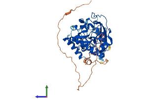 Protein Structure (PS) image for Inositol-Tetrakisphosphate 1-Kinase (ITPK1) (AA 1-419) protein (His tag) (ABIN7564467)