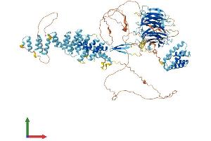 Protein Structure (PS) image for SEC31 Homolog B (SEC31B) (AA 1-1179) protein (His tag) (ABIN7555336)