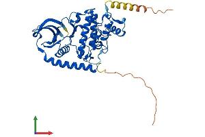 AlphaFold protein structure predicition of Mouse Recombinant Sbk2 Protein, UniprotID P0C5K1 (Sbk2 Protein (AA 1-362) (His tag))