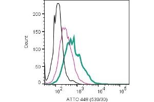 anti-Tachykinin Receptor 1 (TACR1) (AA 180-194), (Extracellular) antibody (Atto 488)