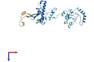 AlphaFold protein structure predicition of Human Recombinant HSP90AB2P Protein, UniprotID Q58FF8 (HSP90AB2P Protein (AA 1-381) (His tag))