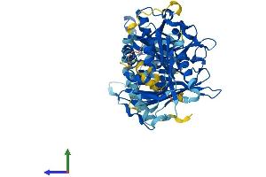 AlphaFold protein structure predicition of Human Recombinant ACOT12 Protein, UniprotID Q8WYK0 (ACOT12 Protein (AA 1-555) (His tag))