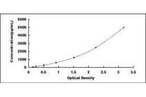 ELISA image for Growth Hormone 1 (GH1) ELISA Kit (ABIN415596)