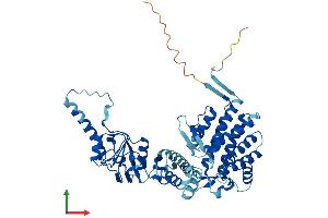 Protein Structure (PS) image for Chaperonin Containing TCP1, Subunit 3 (Gamma) (CCT3) (AA 1-545) protein (His tag) (ABIN7544394)