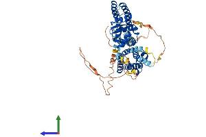 AlphaFold protein structure predicition of Mouse Recombinant Kcna3 Protein, UniprotID P16390
