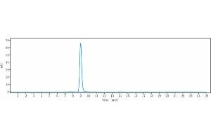 The purity of Anti-VEGFR2 / KDR / CD309 Reference Antibody (Imclone 6.