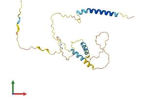 AlphaFold protein structure predicition of Mouse Recombinant Bnip3l Protein, UniprotID Q9Z2F7
