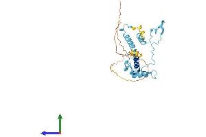 AlphaFold protein structure predicition of Human Recombinant IFT46 Protein, UniprotID Q9NQC8