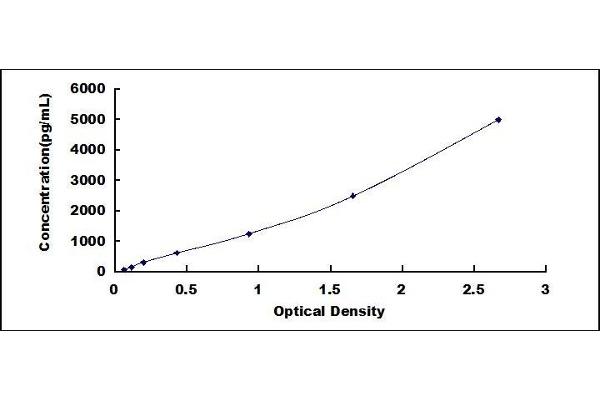 CD21 ELISA Kit