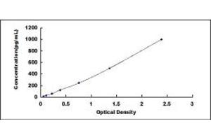 Typical standard curve (CXCL14 ELISA Kit)